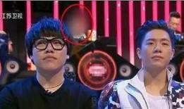 起韩在线观看,揭秘热门韩剧背后的魅力与故事